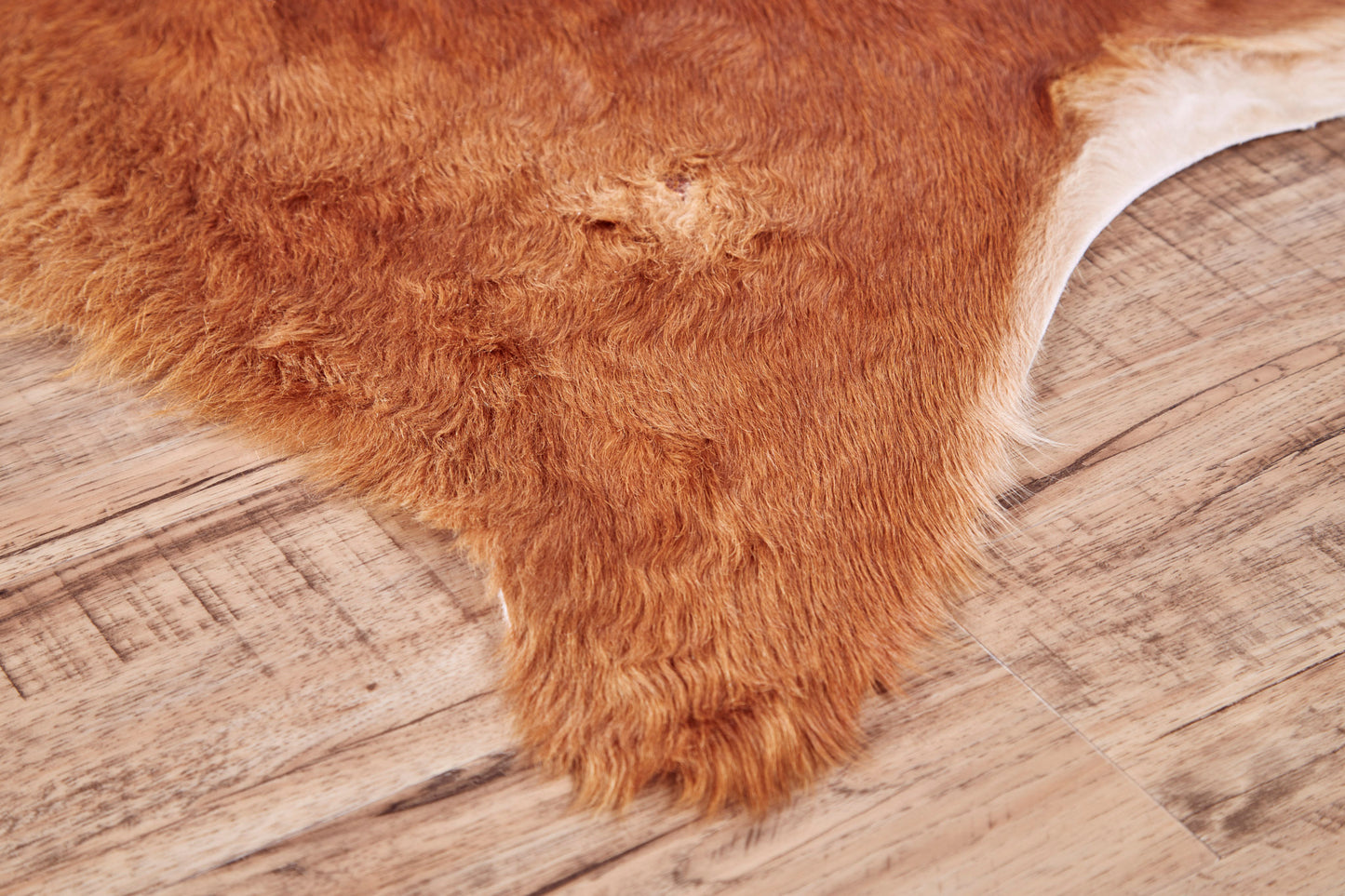 Bartlett Transitional/Cabin & Lodge/Rustic Animal Print Brown - Feizy Rug