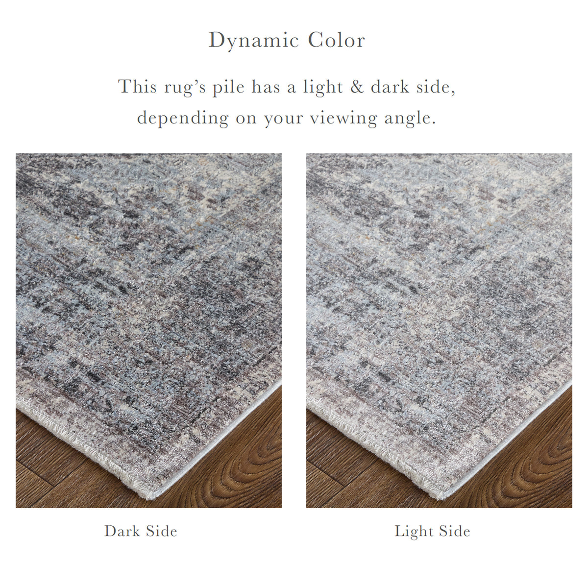 Sarrant Transitional/Bohemian & Eclectic/Casual Medallion/Distressed/Persian Gray/Silver/Ivory 3966 - Feizy Rug