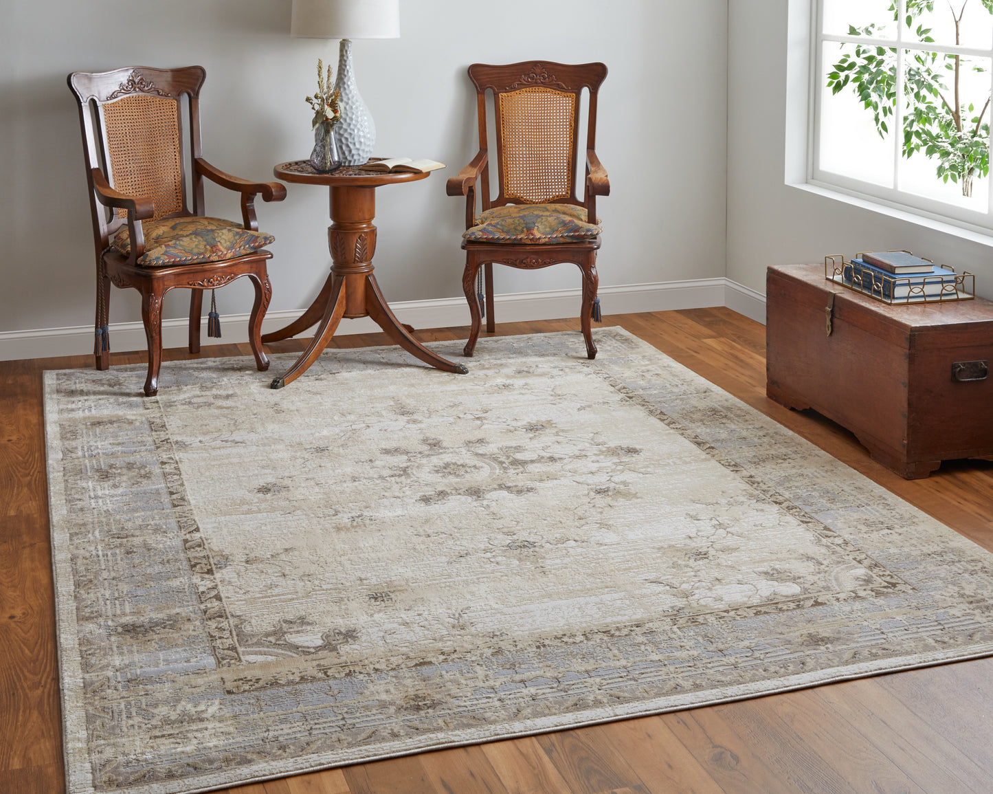 Celene Traditional/French & Victorian/Vintage Tan/Brown/Gray Area Rug