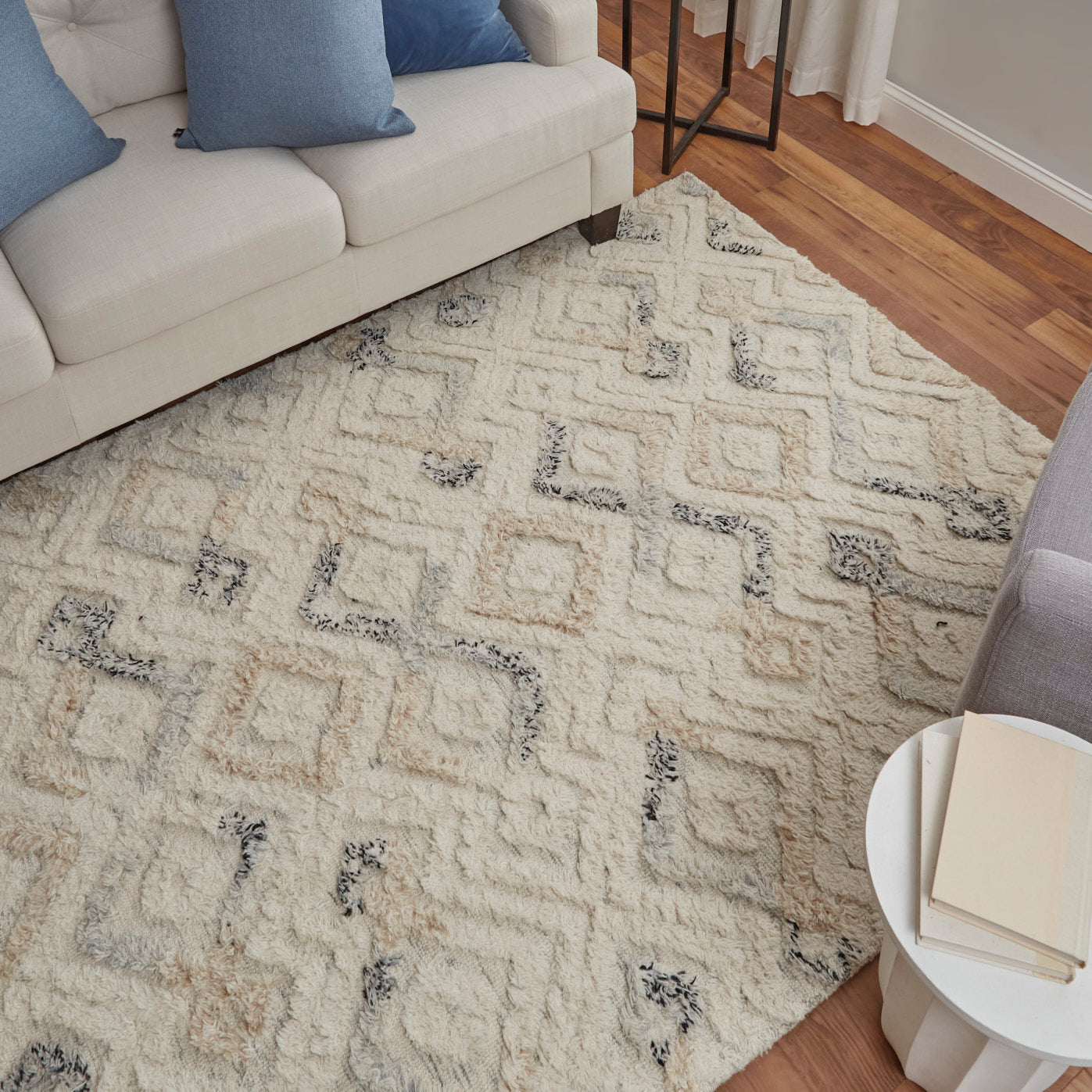 Anica Transitional/Bohemian & Eclectic/Moroccan Ivory/Gray/Black Area Rug