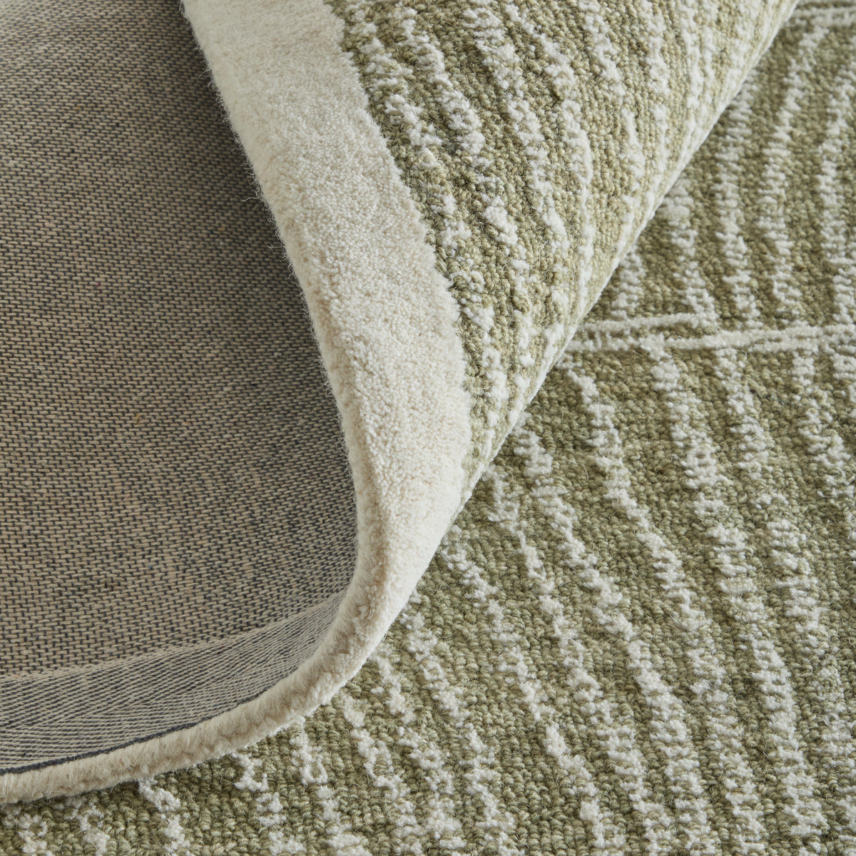 Winston Modern/Nautical & Coastal Floral & Botanical/Bordered/Abstract Green/Ivory - Feizy Rug