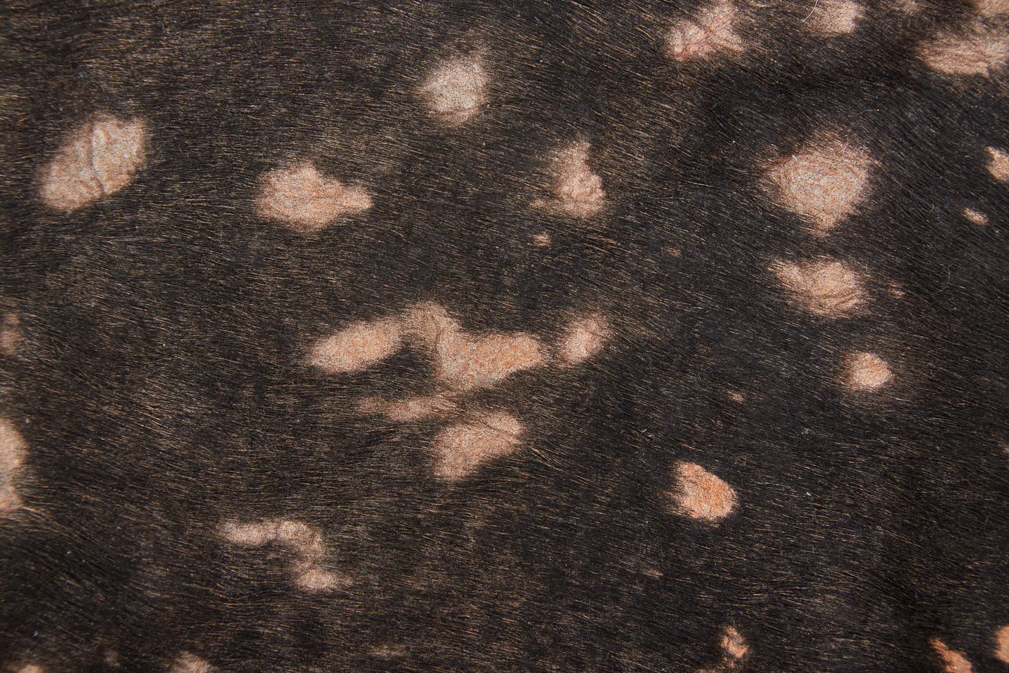 Ellyse Transitional/Cabin & Lodge Animal Print Brown - Feizy Rug