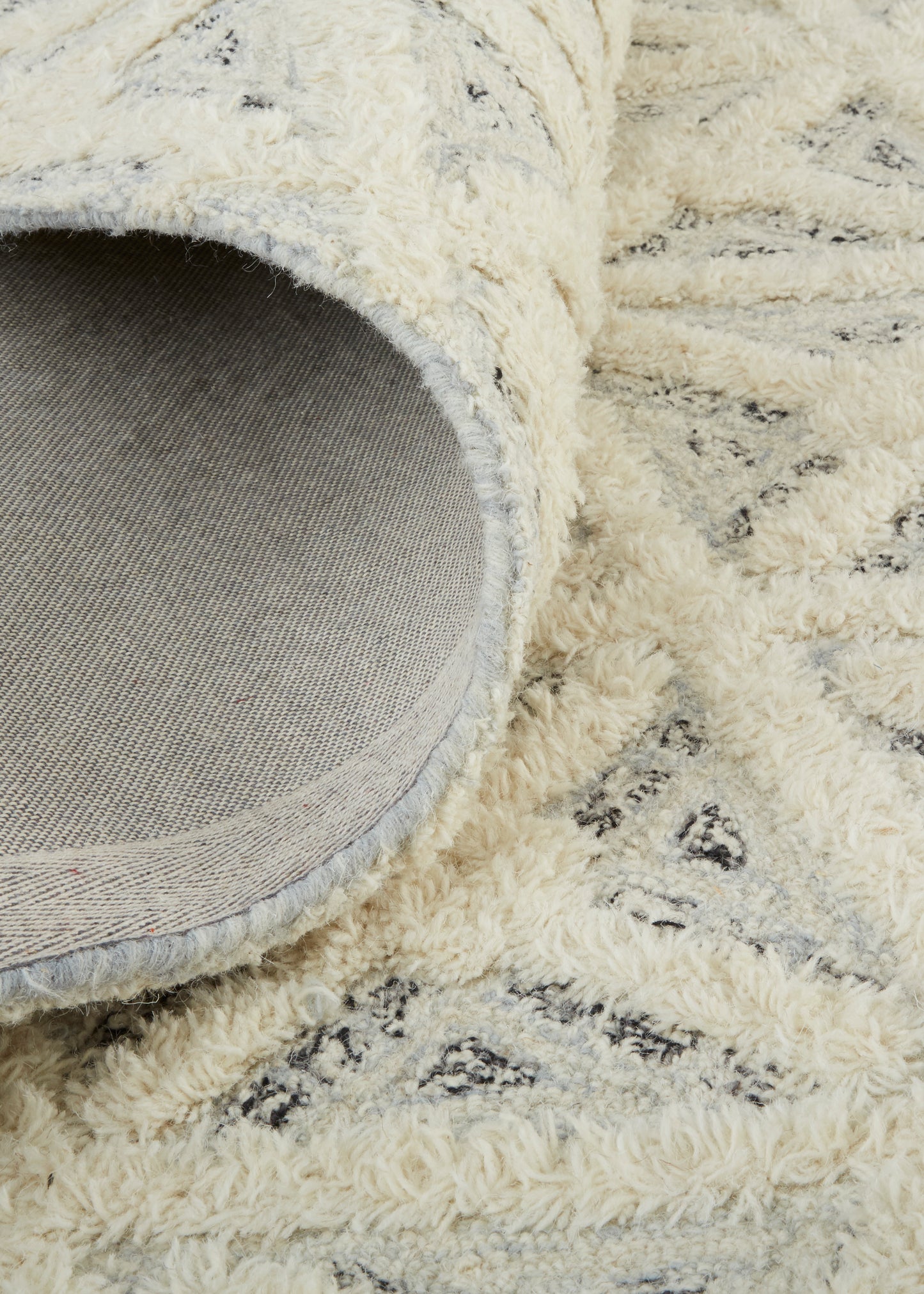 Anica Transitional/Moroccan/Global Ivory/Black Area Rug