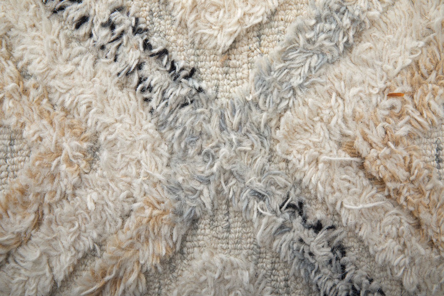 Anica Transitional/Bohemian & Eclectic/Moroccan Ivory/Gray/Black Area Rug