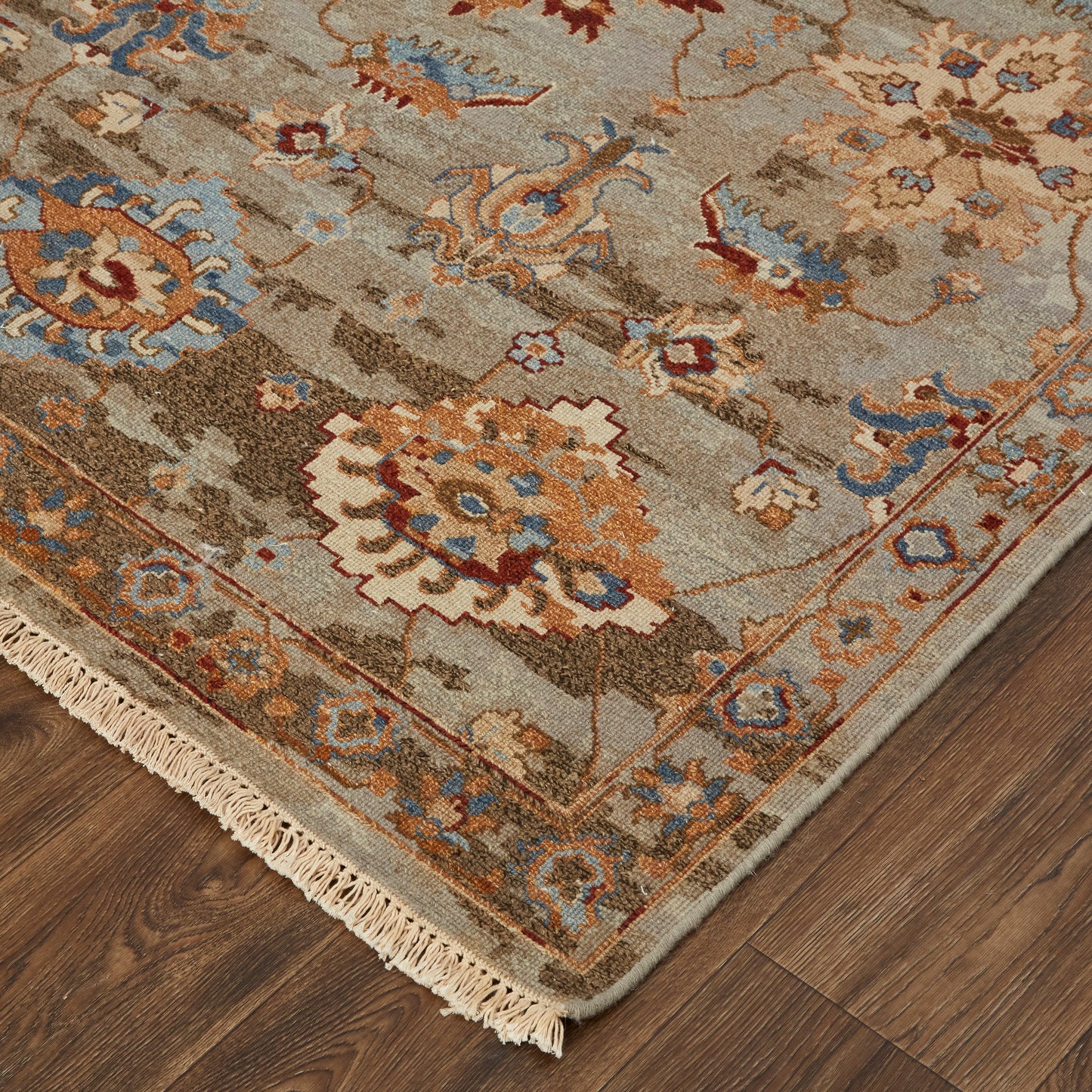 Leylan Transitional/Casual Brown/Tan/Gray Area Rug