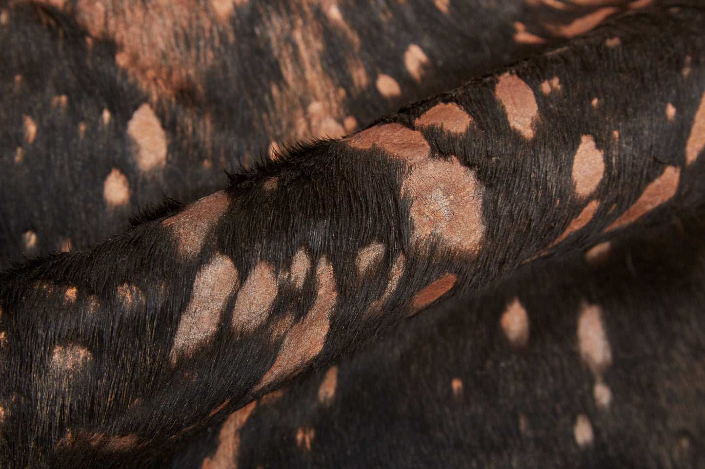 Ellyse Transitional/Cabin & Lodge Animal Print Brown - Feizy Rug