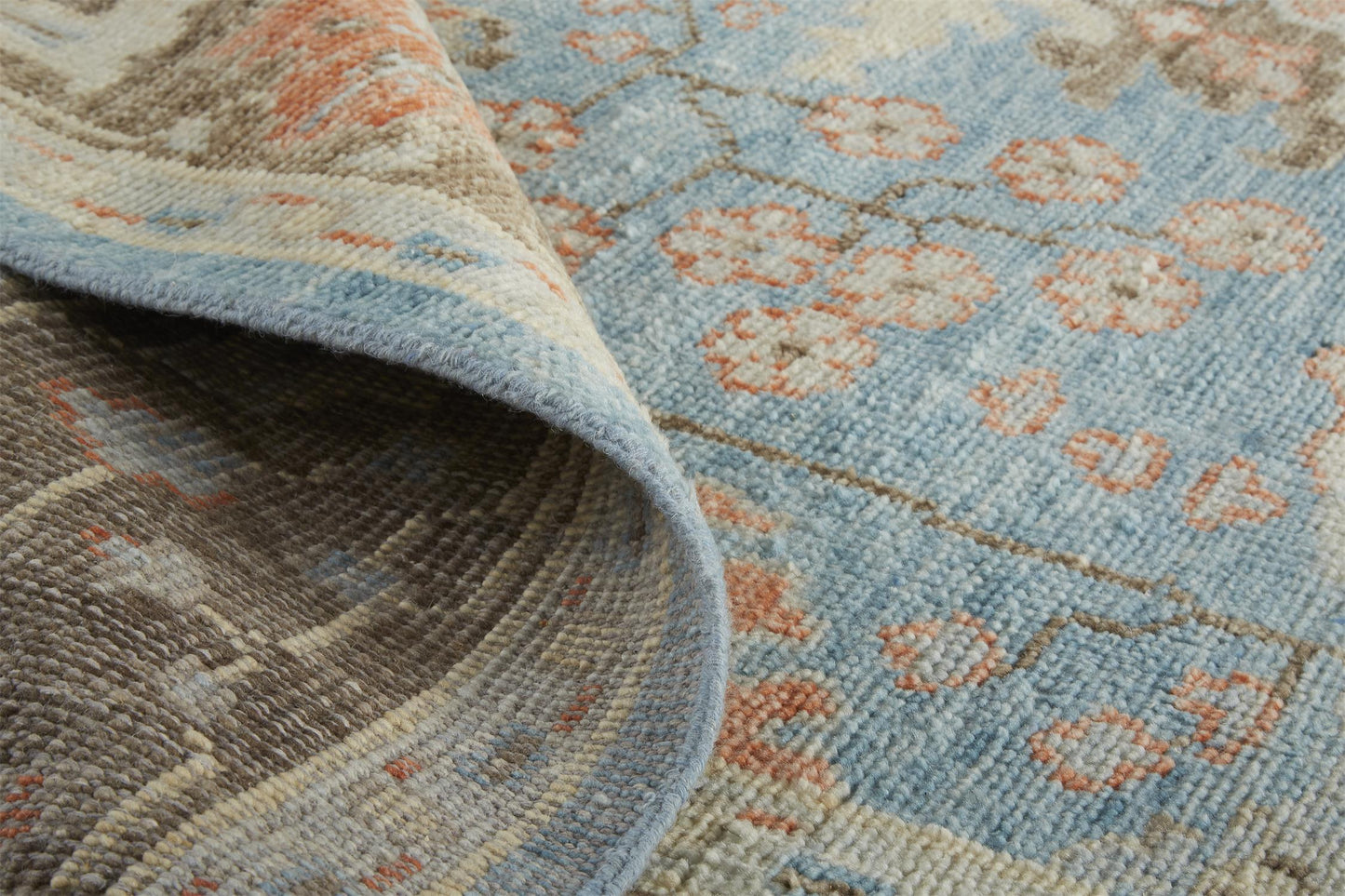 Beall Traditional/Rustic/Global Oriental/Floral & Botanical/Bordered Blue/Brown - Feizy Rug