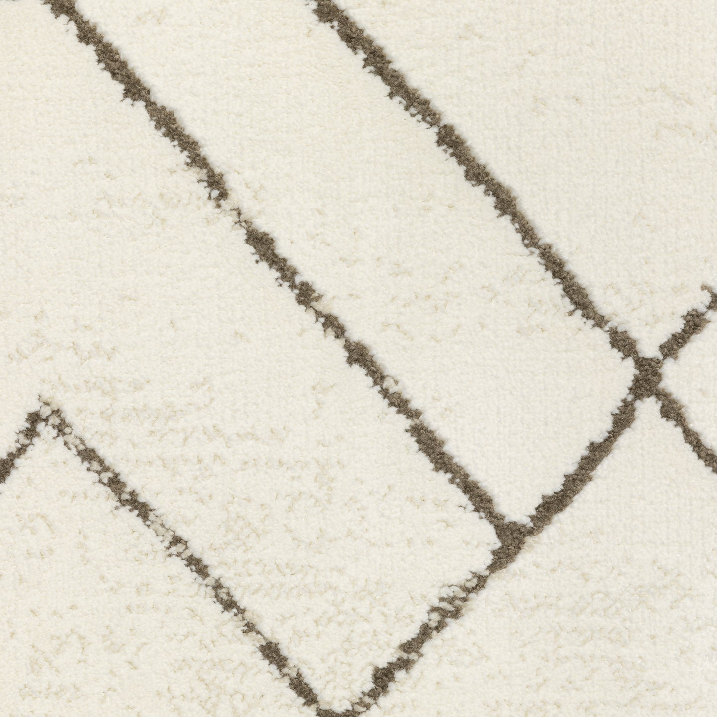 RAYLAN RAY06 Ivory Rug - ORIENTAL WEAVERS