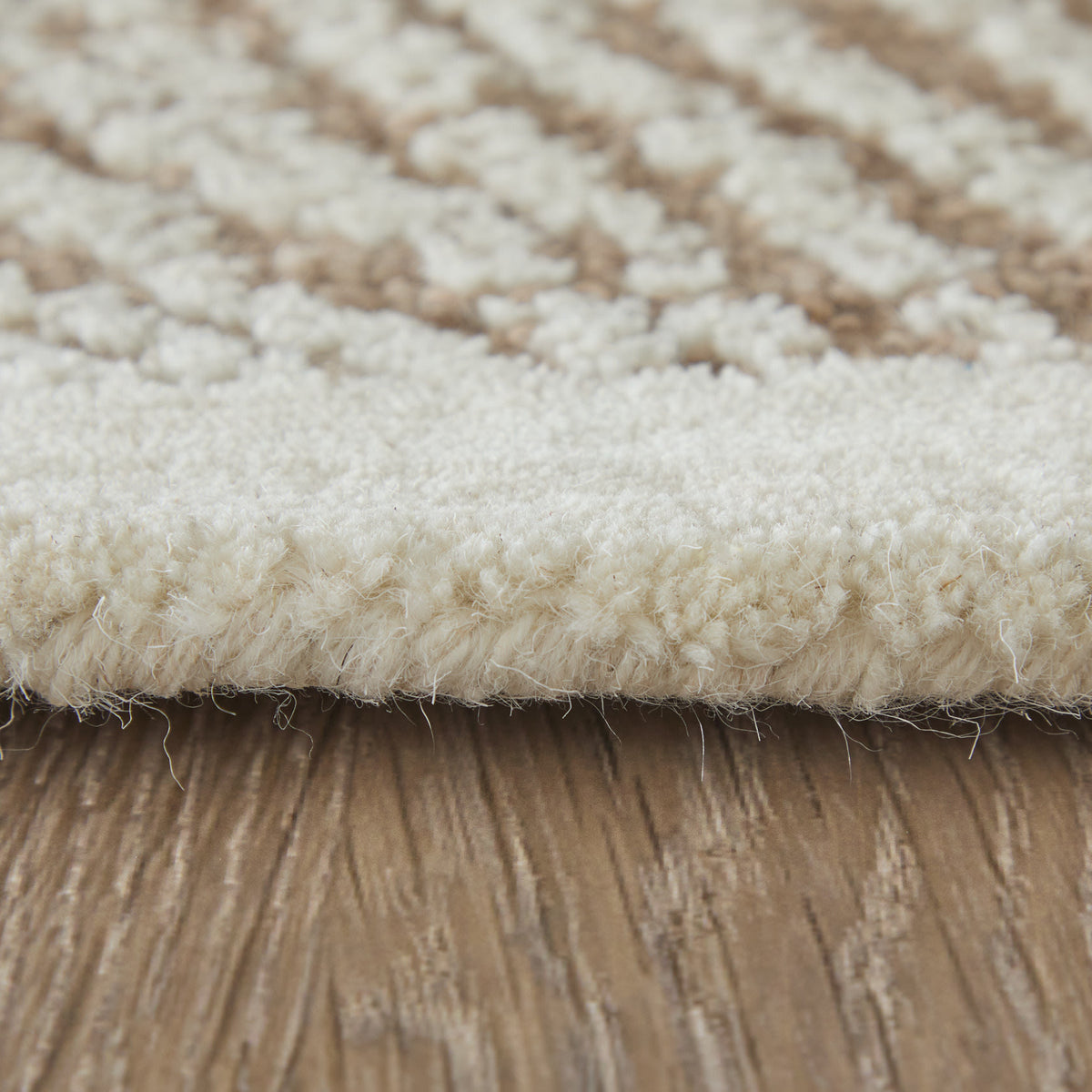 Winston Modern/Nautical & Coastal Floral & Botanical/Bordered/Abstract Taupe/Ivory - Feizy Rug