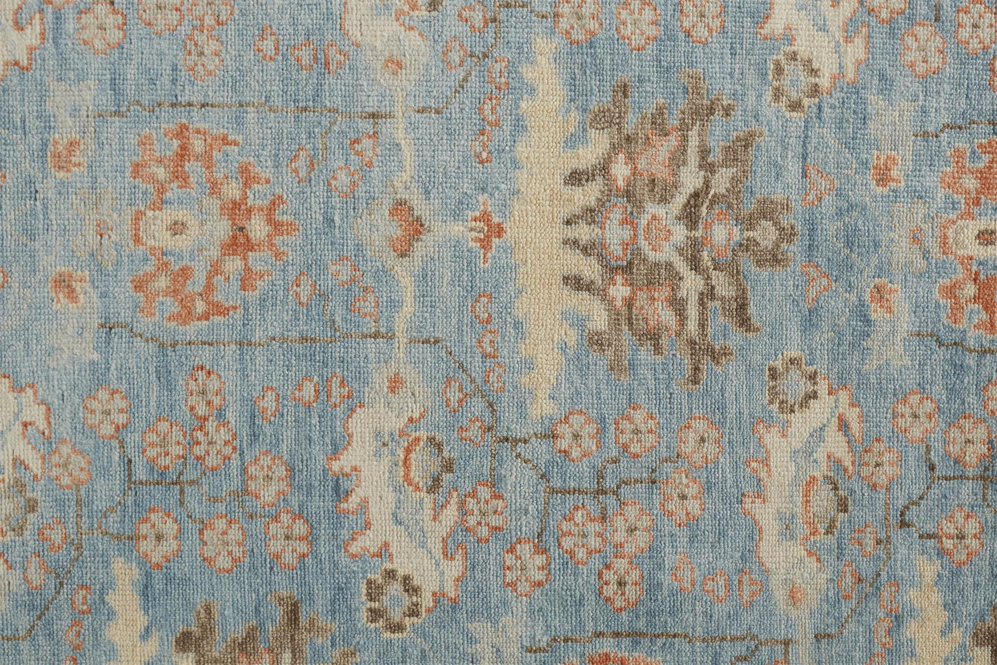 Beall Traditional/Rustic/Global Oriental/Floral & Botanical/Bordered Blue/Brown - Feizy Rug