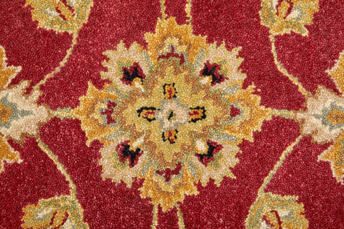 Wagner Traditional/Classic/Vintage Oriental/Persian/Bordered Red/Black/Gold - Feizy Rug
