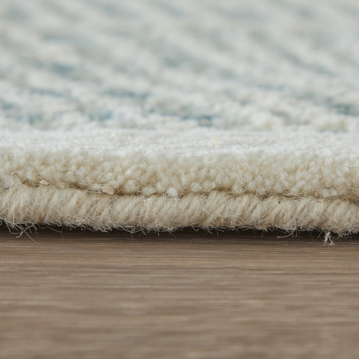 Winston Modern/Nautical & Coastal Floral & Botanical/Bordered/Abstract Blue/Ivory - Feizy Rug