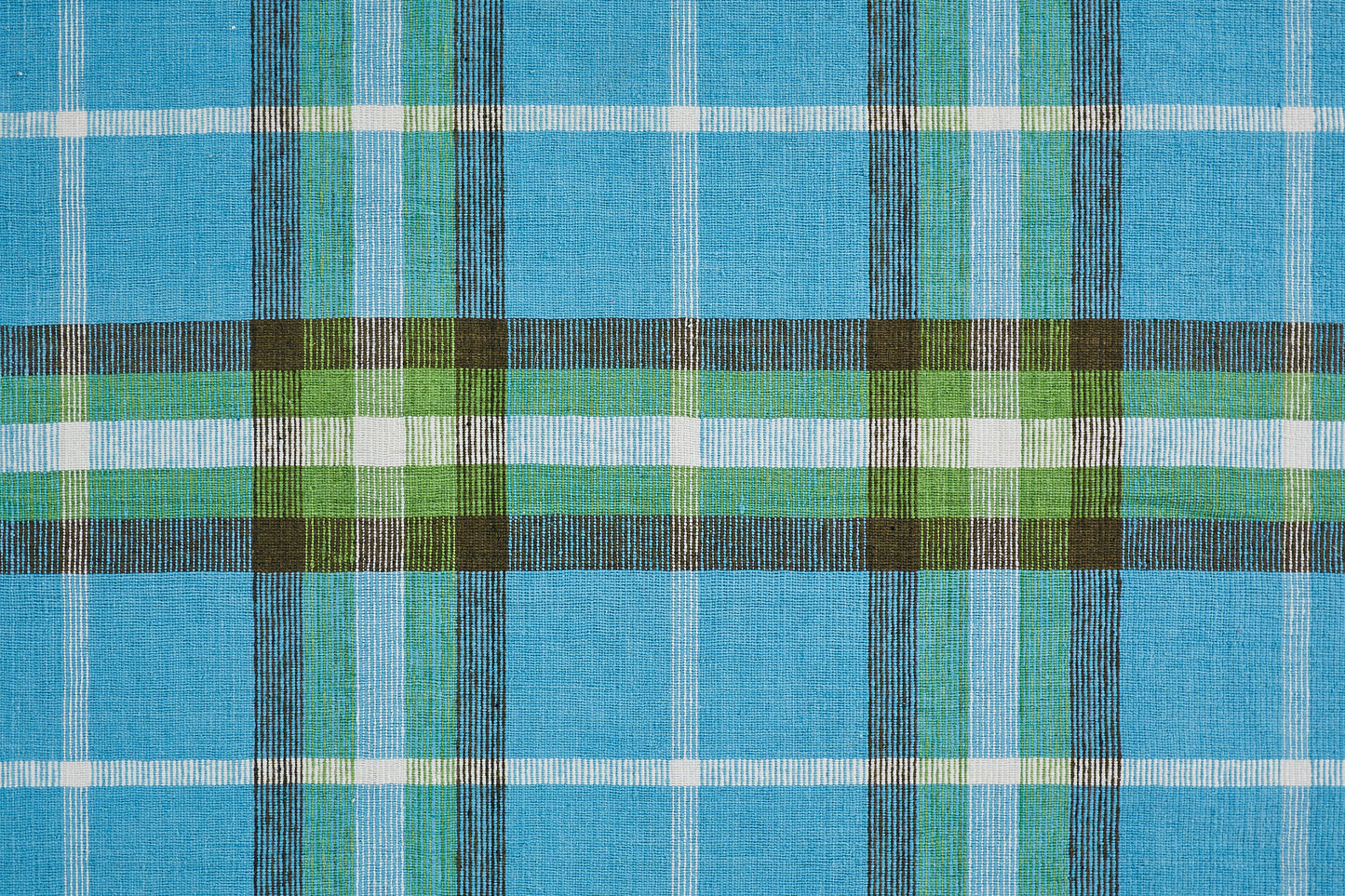 Crosby Transitional/Rustic Plaid Blue/Green/Black - Feizy Rug