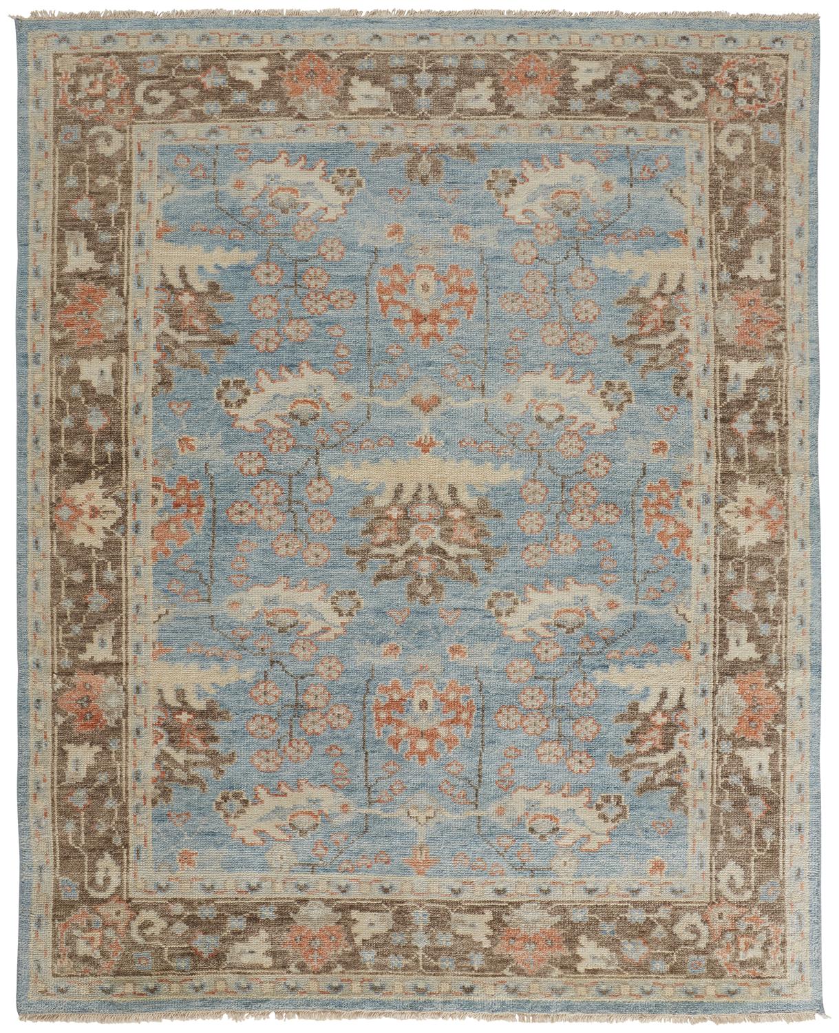 Beall Traditional/Rustic/Global Oriental/Floral & Botanical/Bordered Blue/Brown - Feizy Rug