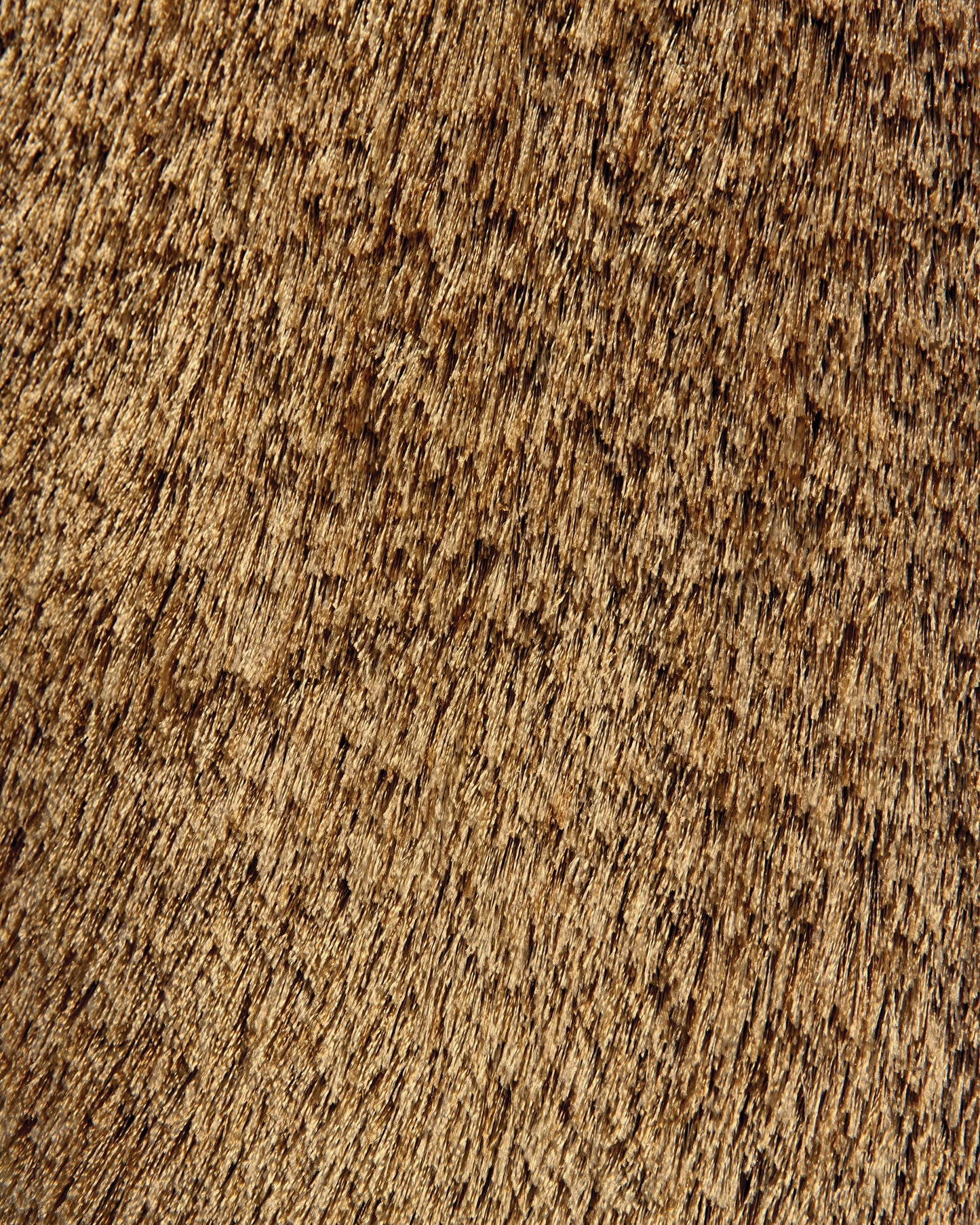 Indochine Modern/Luxury & Glam/Casual Solid Brown/Gold - Feizy Rug