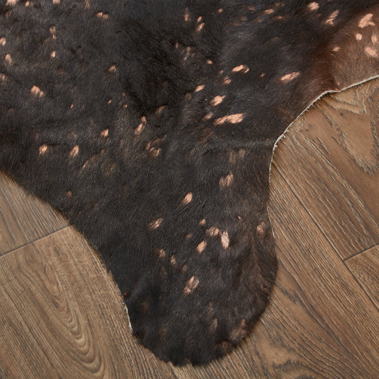 Ellyse Transitional/Cabin & Lodge Animal Print Brown - Feizy Rug