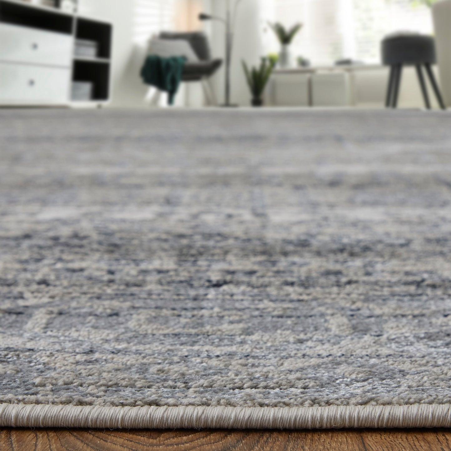 Macklaine Transitional/Bohemian & Eclectic/Global Distressed/Oriental/Bordered Taupe/Black/Ivory - Feizy Rug