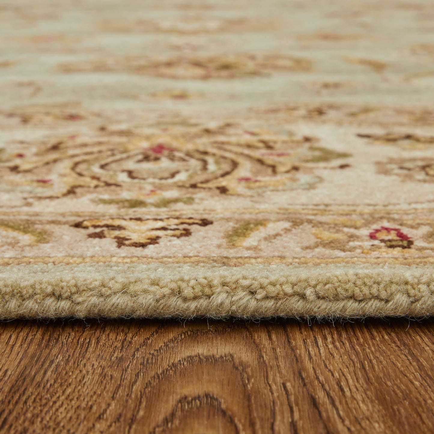 Wagner Traditional/Classic/Vintage Oriental/Persian/Bordered Tan/Brown/Green - Feizy Rug