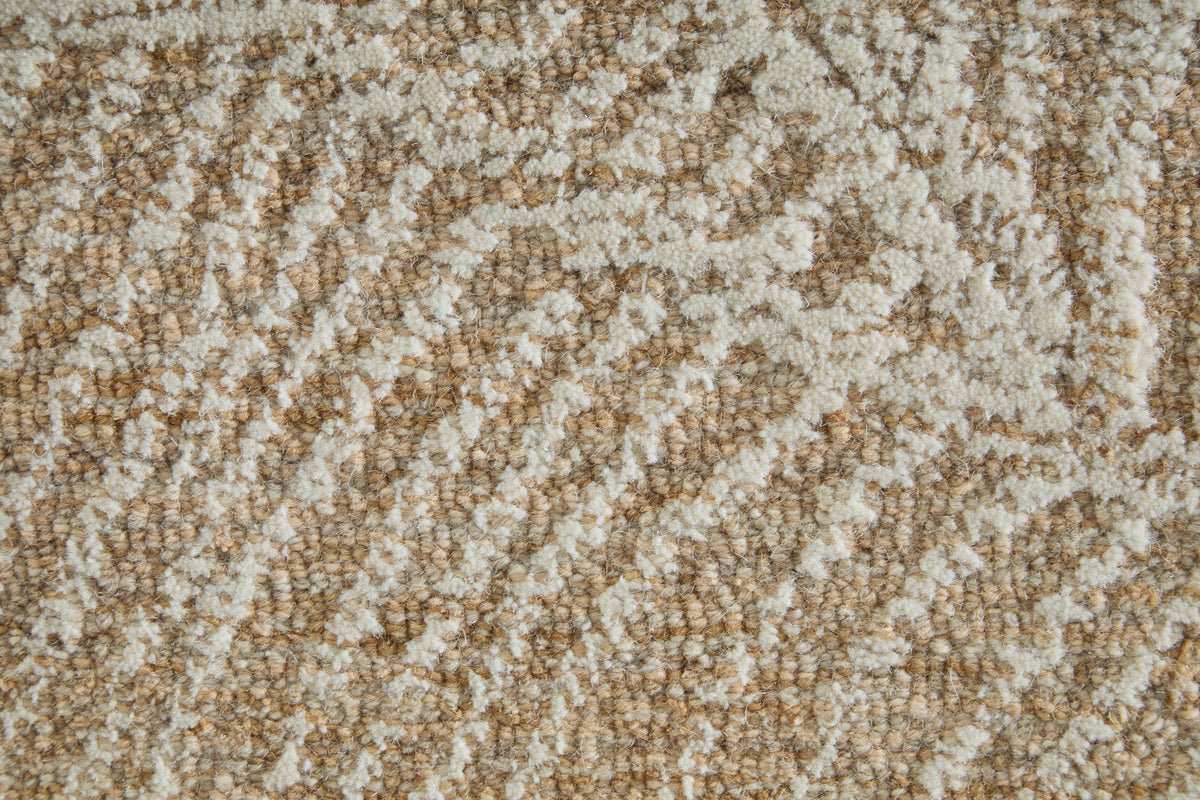 Winston Modern/Nautical & Coastal Floral & Botanical/Bordered/Abstract Tan/Ivory - Feizy Rug
