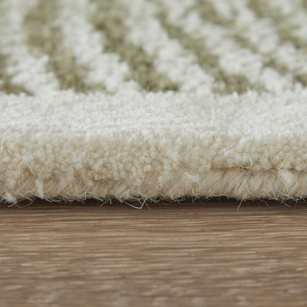 Winston Modern/Nautical & Coastal Floral & Botanical/Bordered/Abstract Green/Ivory - Feizy Rug