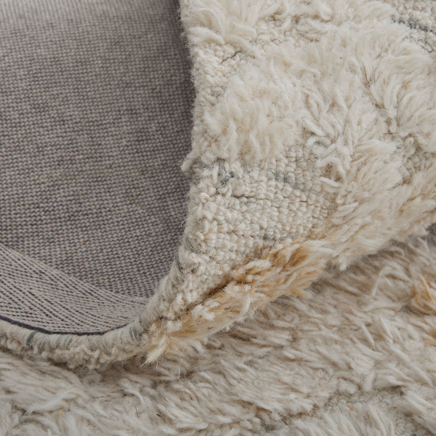 Anica Transitional/Bohemian & Eclectic/Moroccan Ivory/Gray/Black Area Rug