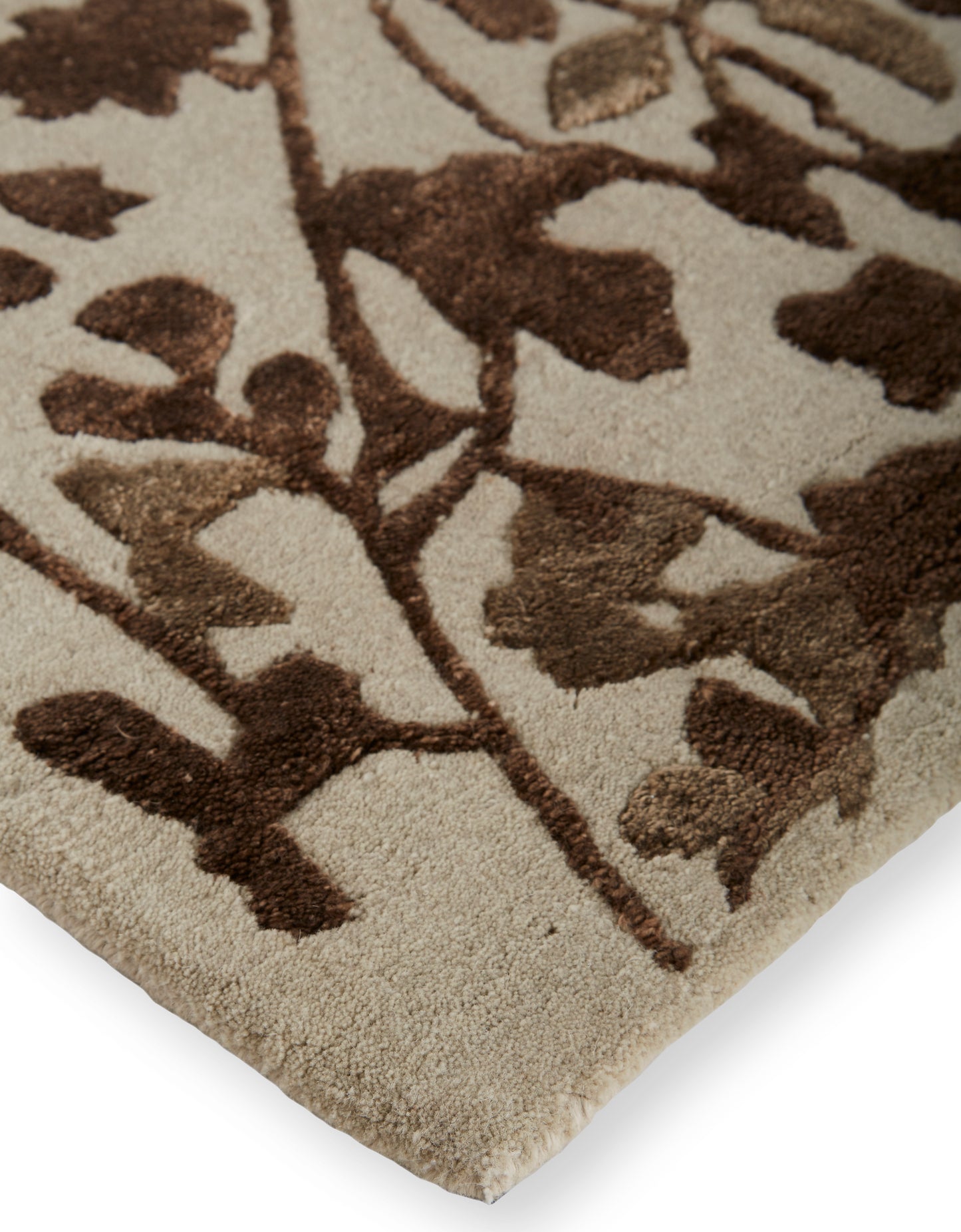 Bella Transitional/Casual Floral & Botanical Ivory/Taupe/Brown - Feizy Rug